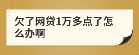 欠了网贷1万多点了怎么办啊