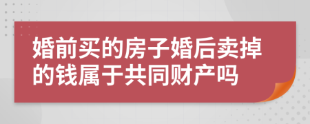 婚前买的房子婚后卖掉的钱属于共同财产吗