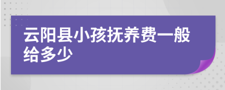 云阳县小孩抚养费一般给多少