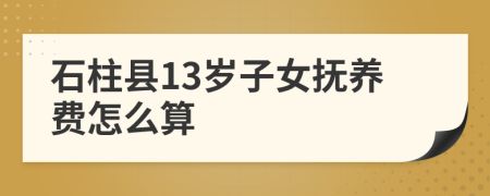 石柱县13岁子女抚养费怎么算