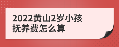 2022黄山2岁小孩抚养费怎么算