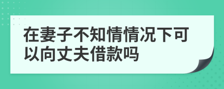 在妻子不知情情况下可以向丈夫借款吗