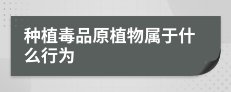 种植毒品原植物属于什么行为