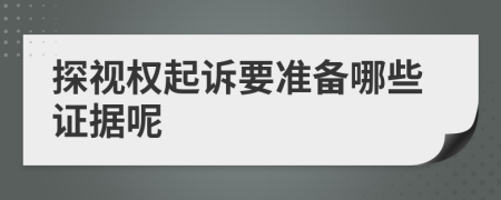 探视权起诉要准备哪些证据呢