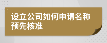 设立公司如何申请名称预先核准