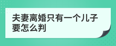 夫妻离婚只有一个儿子要怎么判