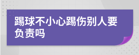 踢球不小心踢伤别人要负责吗