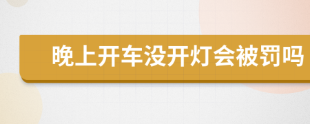 晚上开车没开灯会被罚吗