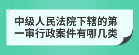 中级人民法院下辖的第一审行政案件有哪几类