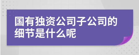 国有独资公司子公司的细节是什么呢