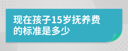 现在孩子15岁抚养费的标准是多少