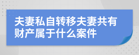 夫妻私自转移夫妻共有财产属于什么案件