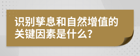 识别孳息和自然增值的关键因素是什么？