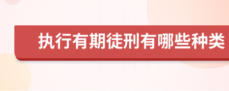 执行有期徒刑有哪些种类