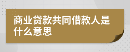 商业贷款共同借款人是什么意思