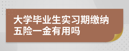 大学毕业生实习期缴纳五险一金有用吗