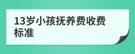 13岁小孩抚养费收费标准