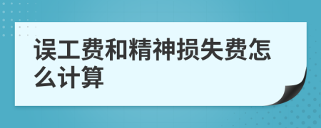 误工费和精神损失费怎么计算