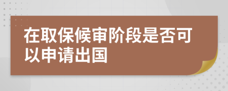在取保候审阶段是否可以申请出国