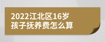 2022江北区16岁孩子抚养费怎么算