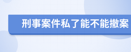 刑事案件私了能不能撤案