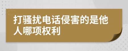 打骚扰电话侵害的是他人哪项权利