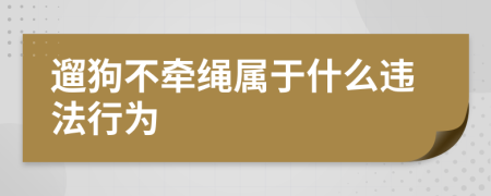 遛狗不牵绳属于什么违法行为