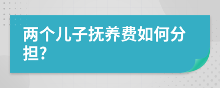 两个儿子抚养费如何分担?