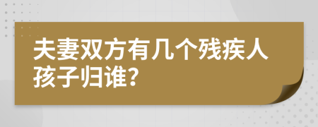 夫妻双方有几个残疾人孩子归谁？