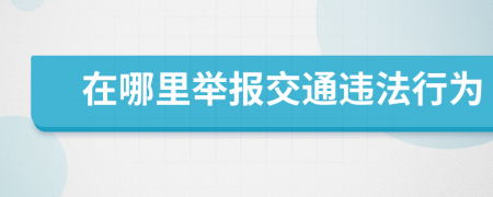 在哪里举报交通违法行为