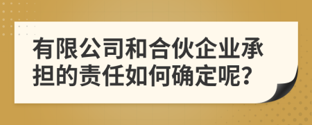 有限公司和合伙企业承担的责任如何确定呢？