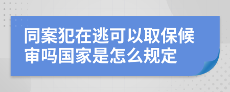 同案犯在逃可以取保候审吗国家是怎么规定