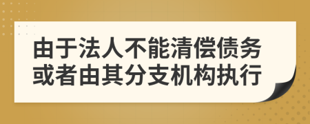 由于法人不能清偿债务或者由其分支机构执行