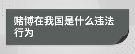 赌博在我国是什么违法行为