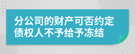 分公司的财产可否约定债权人不予给予冻结