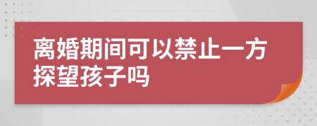 离婚期间可以禁止一方探望孩子吗