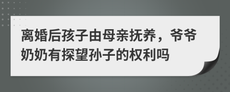离婚后孩子由母亲抚养，爷爷奶奶有探望孙子的权利吗