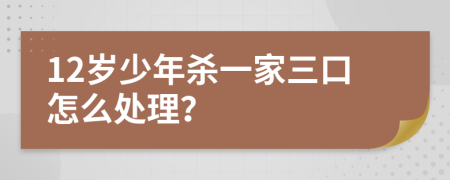 12岁少年杀一家三口怎么处理？