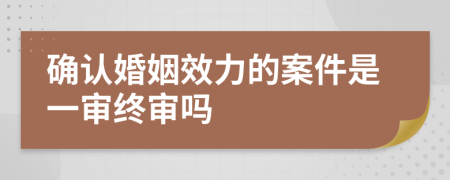 确认婚姻效力的案件是一审终审吗