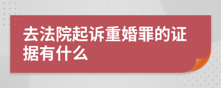 去法院起诉重婚罪的证据有什么