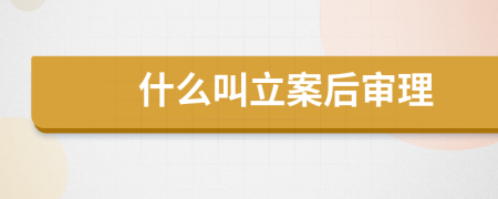 什么叫立案后审理