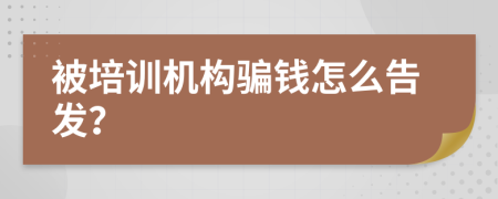 被培训机构骗钱怎么告发？