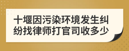 十堰因污染环境发生纠纷找律师打官司收多少