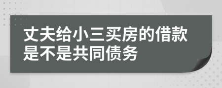 丈夫给小三买房的借款是不是共同债务