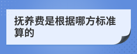 抚养费是根据哪方标准算的