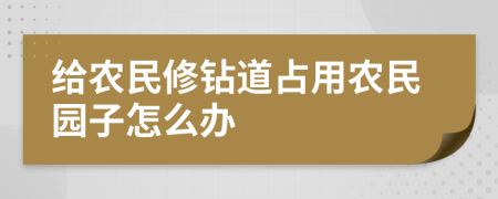 给农民修钻道占用农民园子怎么办