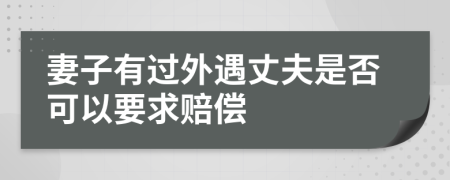 妻子有过外遇丈夫是否可以要求赔偿