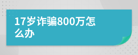 17岁诈骗800万怎么办