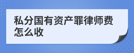 私分国有资产罪律师费怎么收