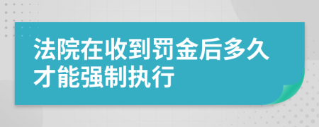 法院在收到罚金后多久才能强制执行